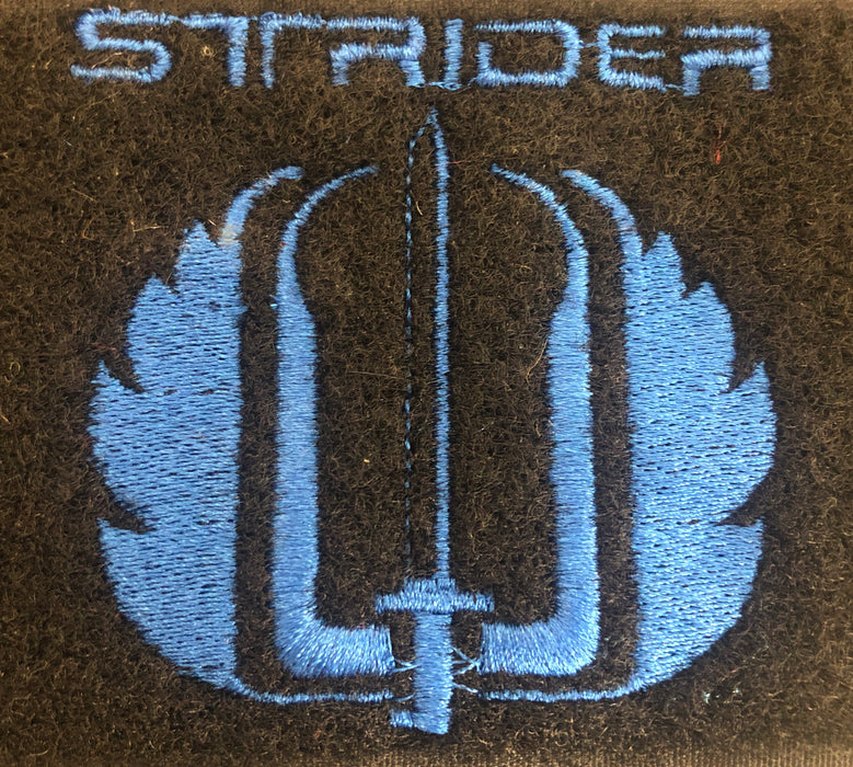SOE/ Strider Atacs Daypack