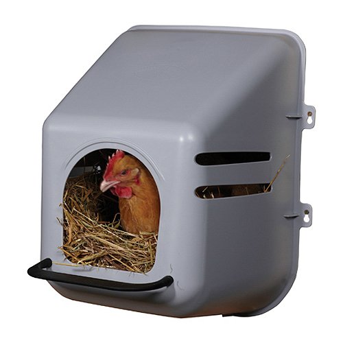CHICKEN NEST BOXES WE USE AT THE SOE COMPOUND