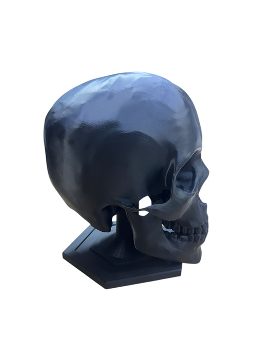 Skull Helmet Stand