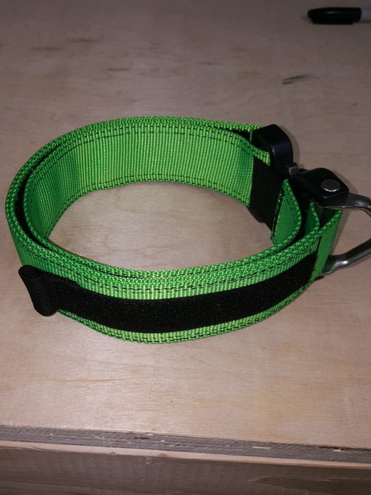 1.75" d-ring Cobra Dog Collar